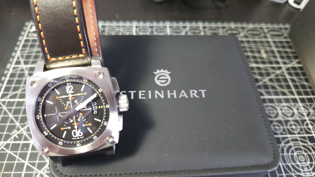 Steinhart aviator online