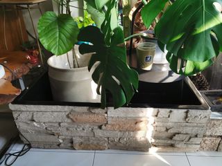 (Category: ) located in . Submitted by tayzer (Listing ID 1250475698, Image 1). Description: .