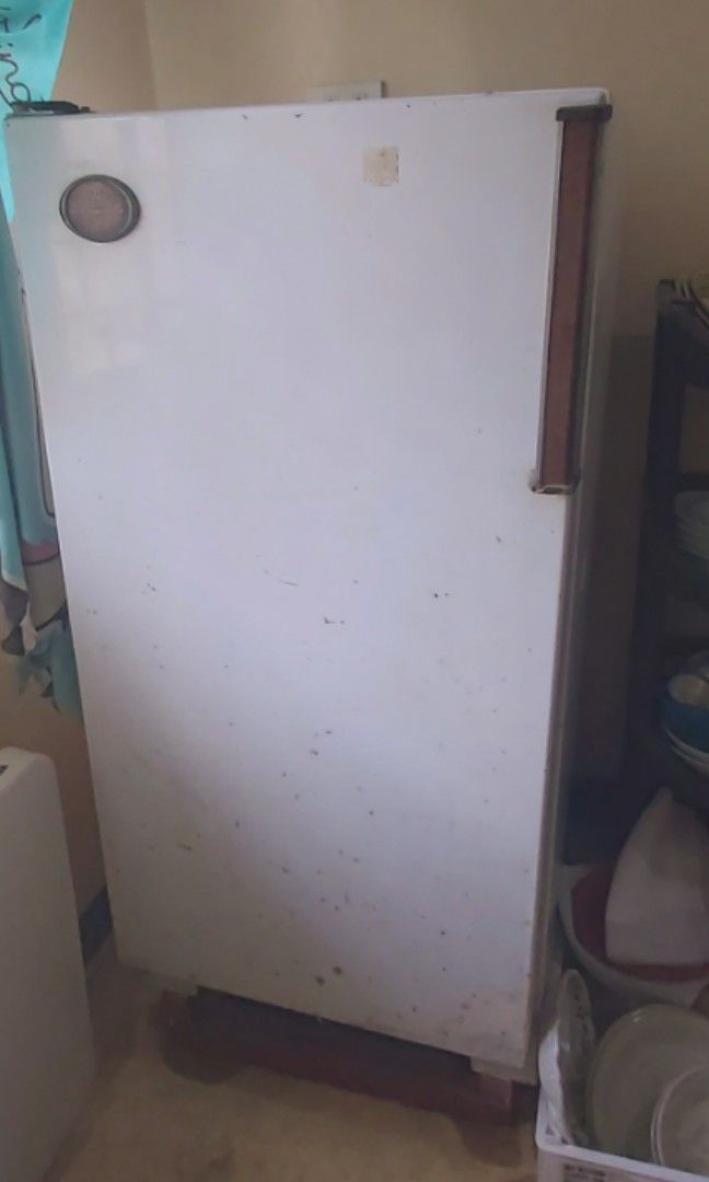 White Westing House Uptight Freezer (Category: Refrigerators and Freezers) located in San Pedro. Submitted by PrettyBakersCollection (Listing ID 1250431743, Image 1). Description: White Westing House Uptight Freezer Very Good Condition & Durable Height: 46.5" Width: 20" Location: San Pedro, Laguna RFS: Decluttering(used only for sausage & dumplings business) Php 2,500.00 Note: Buyer will pick-up the appliance or will be the one to book the delive
