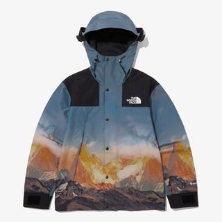 SUPREME THE NORTH FACE GORE-TEX fleece jacket 18AW size L color yellow mens  used