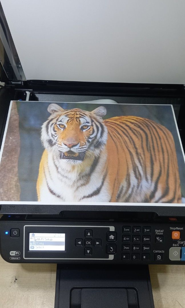Epson Printer L565 Eco Tank, Computers & Tech, Printers, Scanners ...