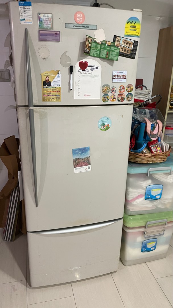 Fisher & Paykel Refrigerator &Freezer, TV & Home Appliances, Kitchen