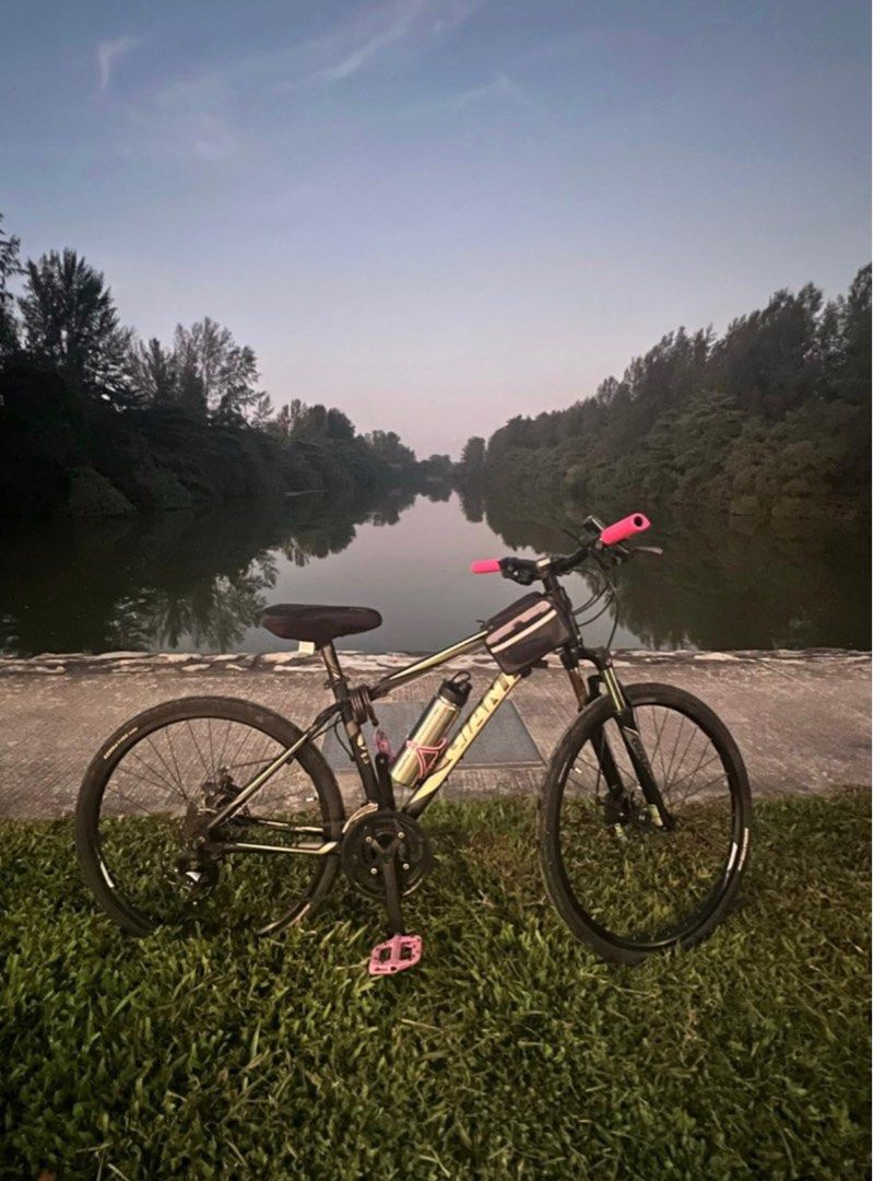 giant revel mountain bike for sale
