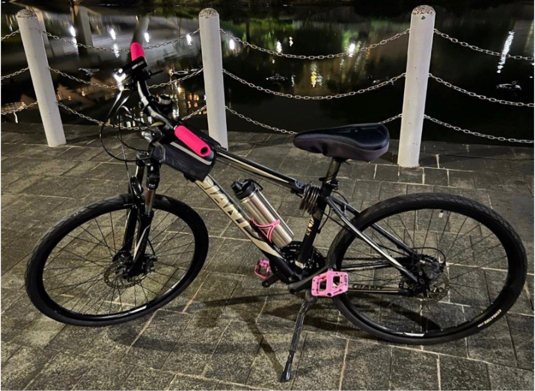 Giant roam clearance bike for sale