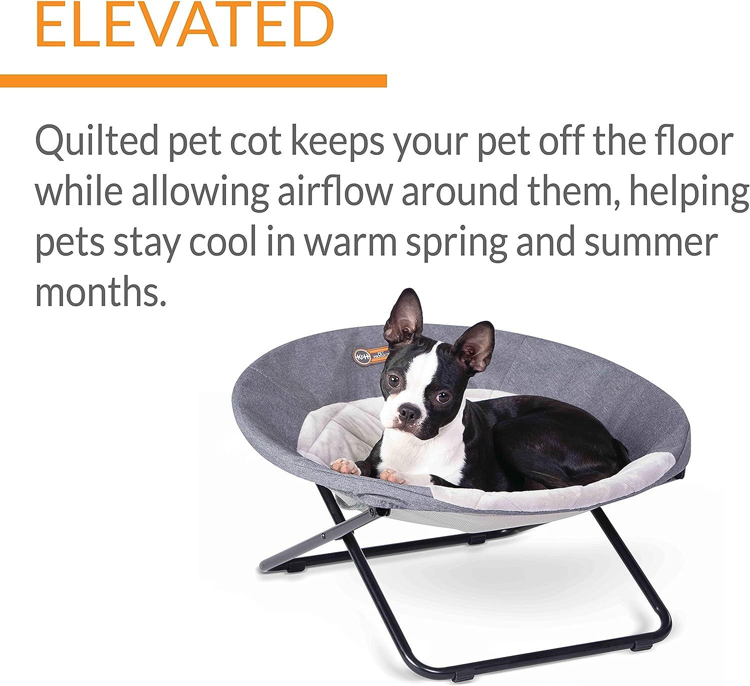 Elevated folding deals pet bed