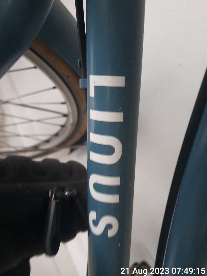 Linus Nexus BICYCLE, Sports Equipment, Bicycles & Parts, Bicycles on