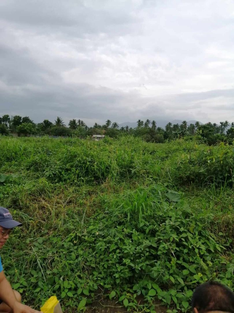 Lot for Sale Sta Ana Homes, Property, For Sale, Lot on Carousell