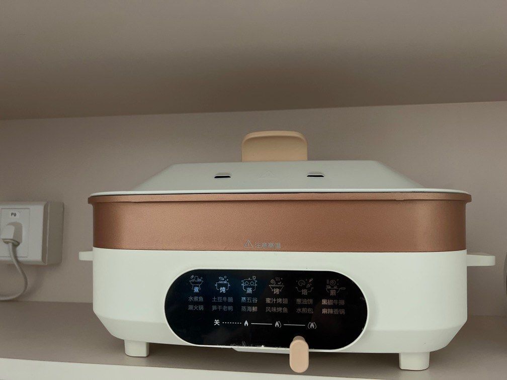 multiple purpose cooker, TV & Home Appliances, Kitchen Appliances ...