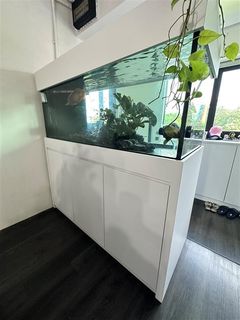 (Category: ) located in . Submitted by cheapcheapgoodgoodgood (Listing ID 1250579187, Image 1). Description: .