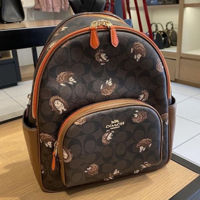 coach hedgehog backpack Court In Signature Canvas With Print New Coach Original Limited Edition