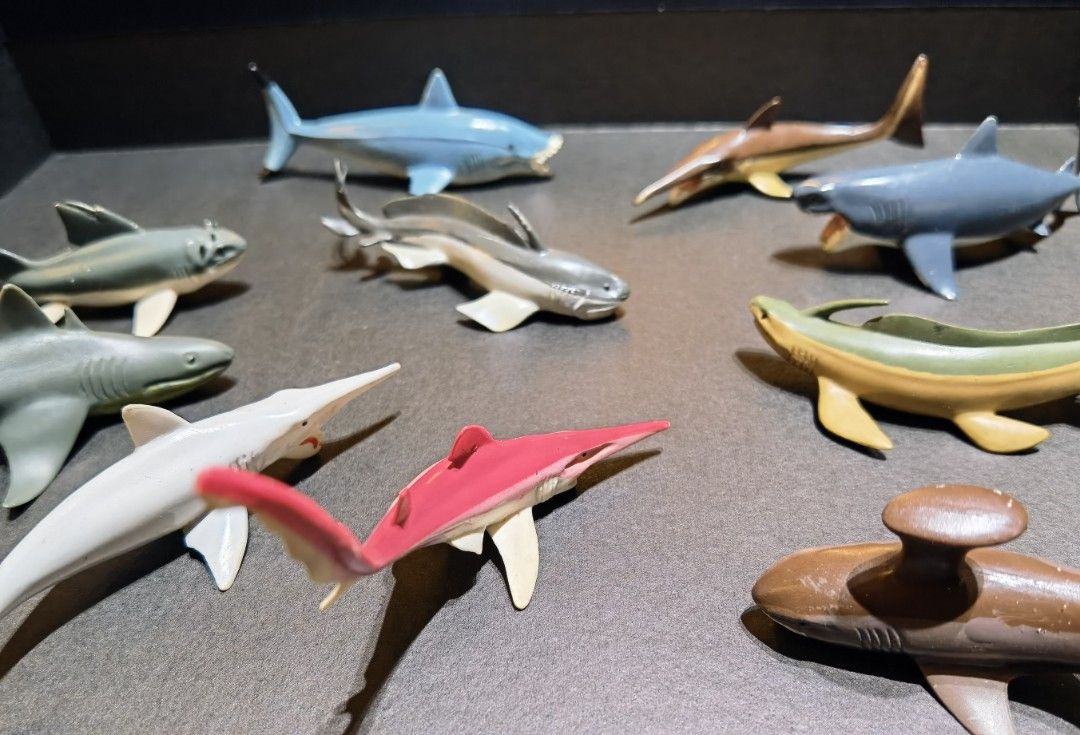 Prehistoric cheap shark toys