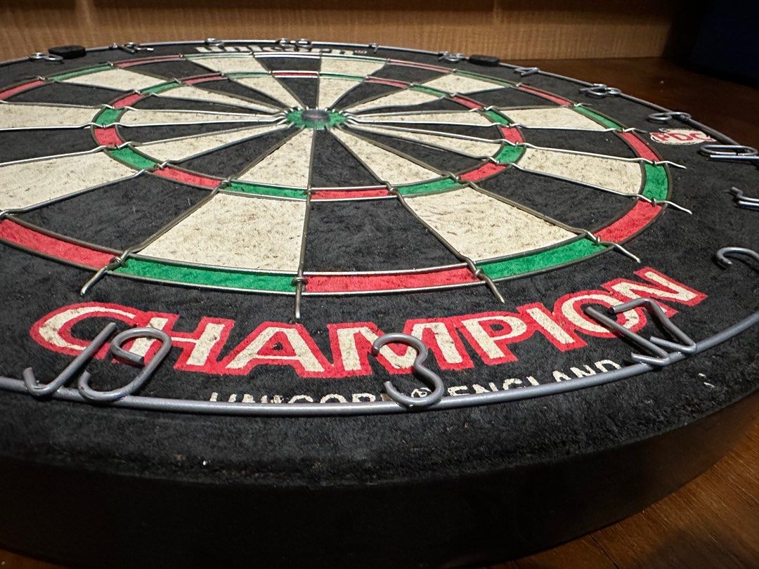 Professional Dart Board + Steel Tips Darts + Box, Hobbies & Toys, Toys