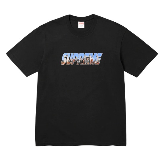 Supreme Gotham Tee 2023 FW, Men's Fashion, Tops & Sets, Tshirts 
