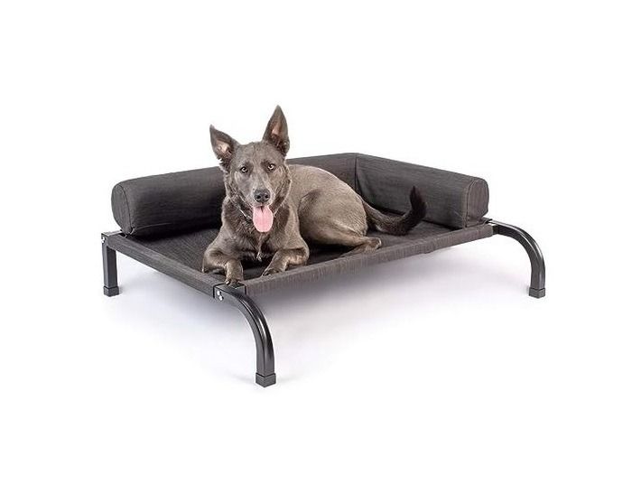 Tp dog bed online
