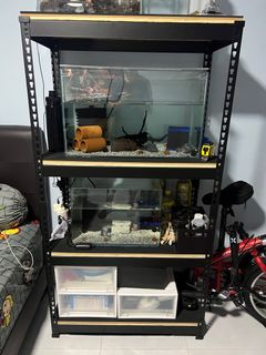 (Category: ) located in . Submitted by jacchenyl (Listing ID 1250722181, Image 1). Description: .