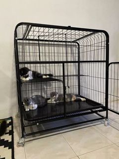 XL Besi tebal Sangkar Kucing Clearance 𝟐 𝐥𝐞𝐯𝐞𝐥 XL square tube pet cage