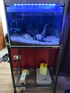 (Category: ) located in . Submitted by mswsn (Listing ID 1250763880, Image 1). Description: .