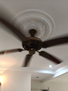 (Category: ) located in . Submitted by zeema_ami (Listing ID 1250783479, Image 1). Description: .