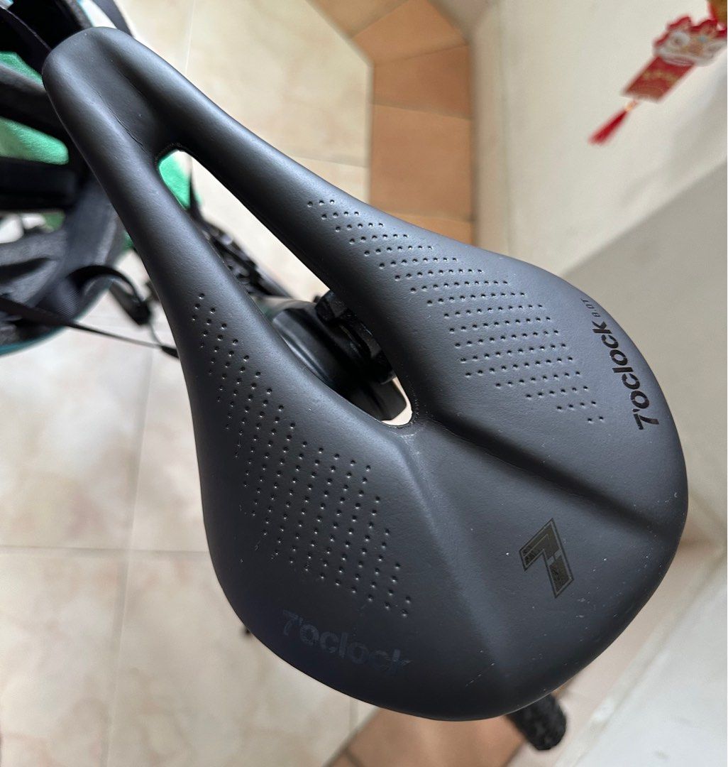 Birdy GT (10 speed Shimano Tiagra), Sports Equipment, Bicycles & Parts