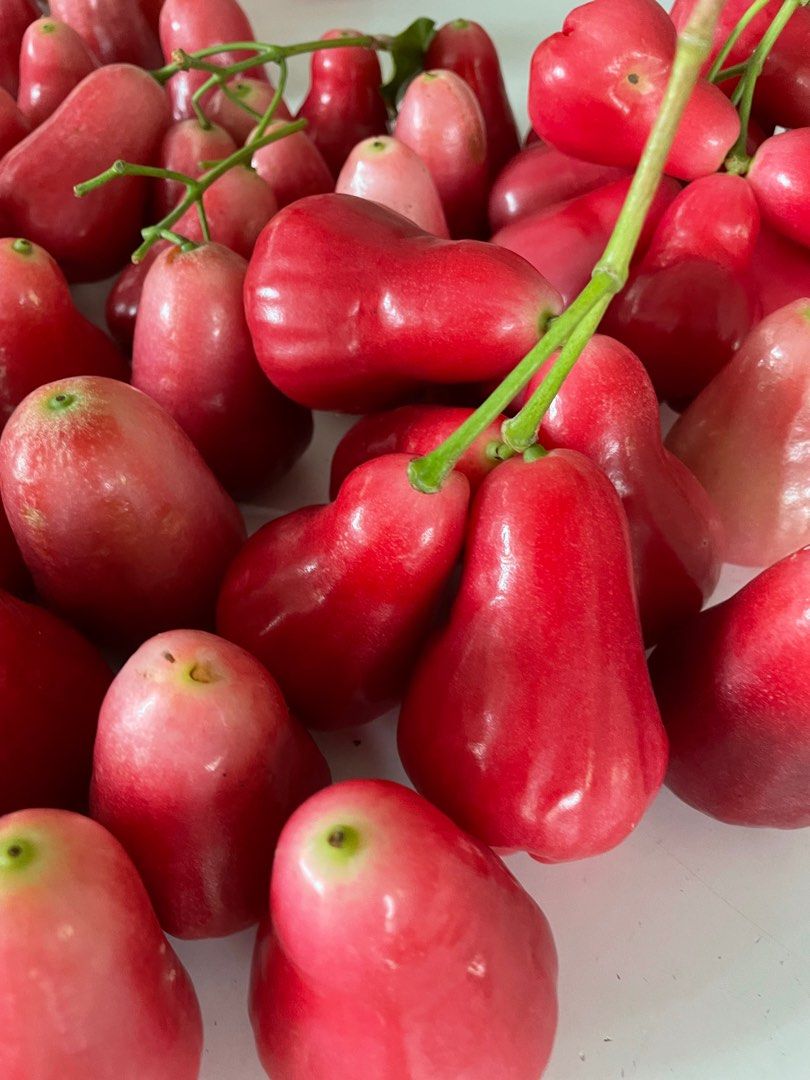Jambu discount spain sale
