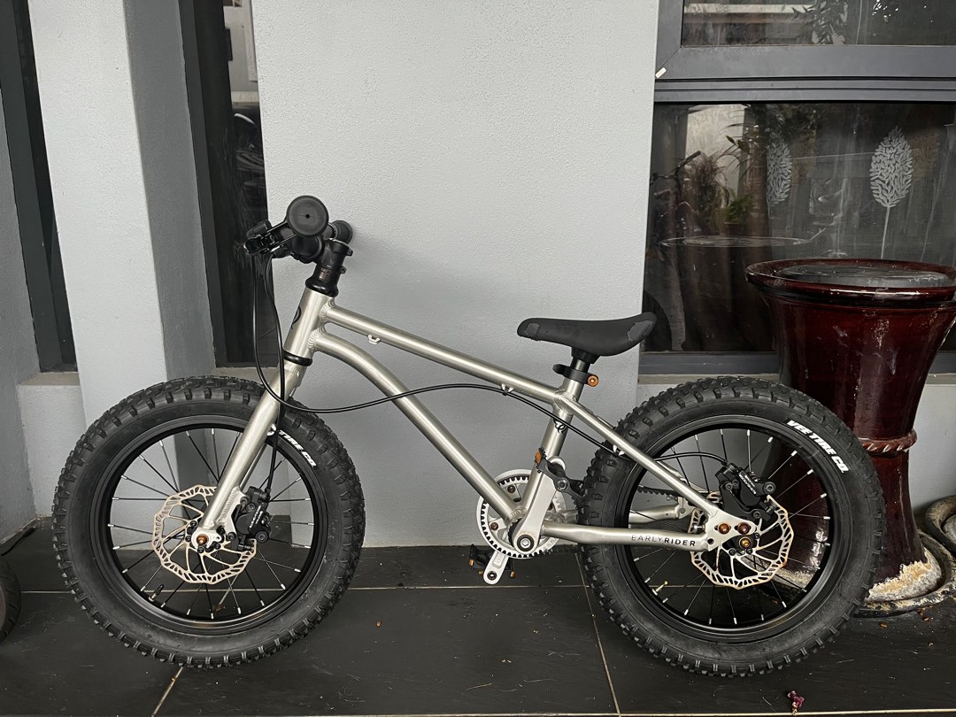 Early Rider Seeker X16 belting bike