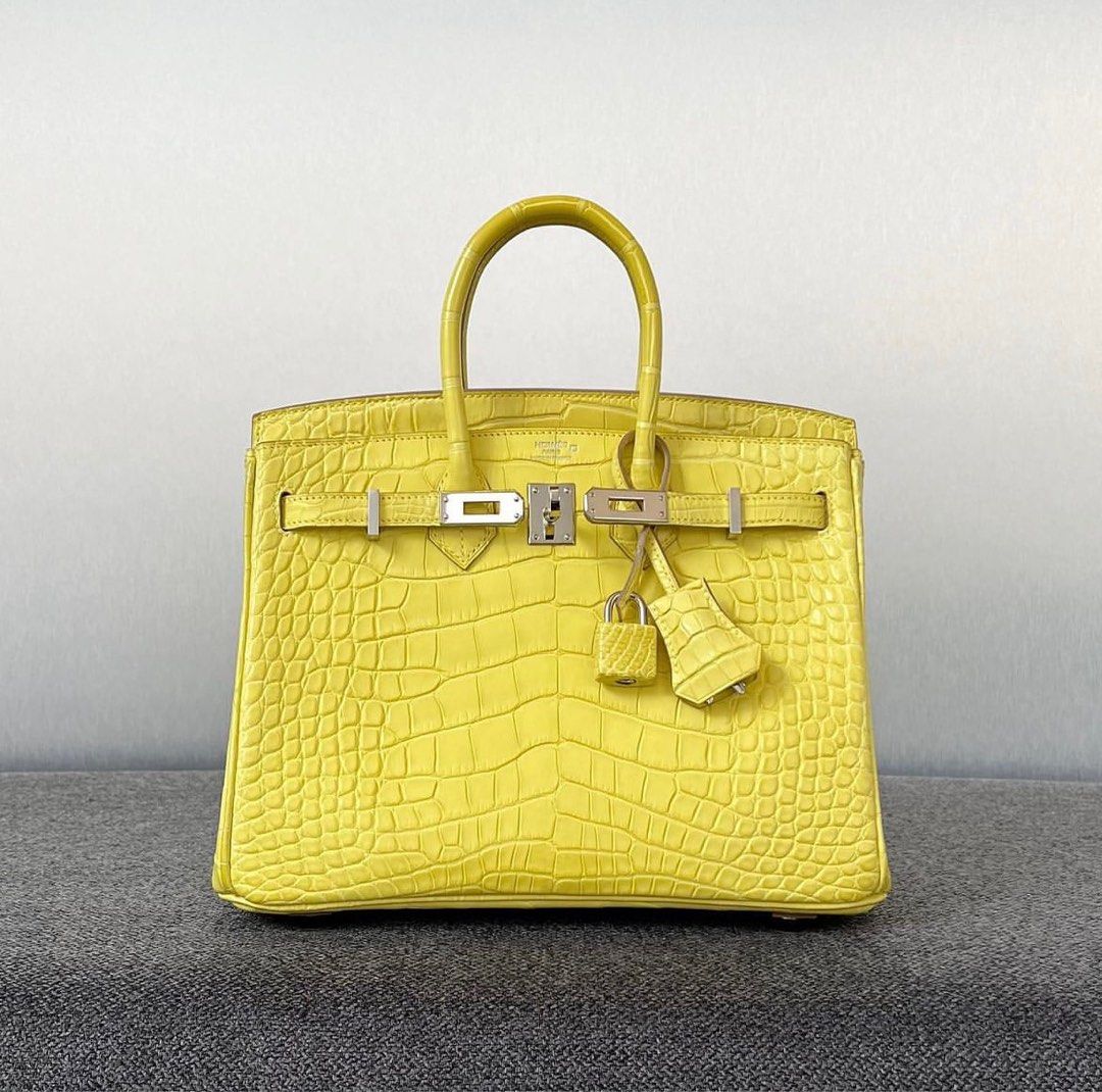 Hermes birkin 25 matt alligator, Luxury, Bags & Wallets on Carousell