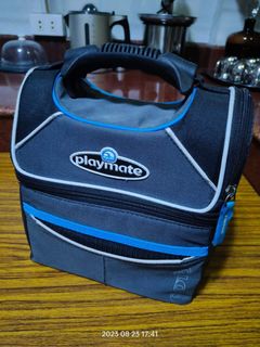 Igloo lunch hot sale bag philippines