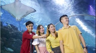 Manila Ocean Park: Ocean Wonder 8 Attractions Package Ticket (Oceanarium, Penguin Exhibit, Sea Lion Show & More) | Philippines