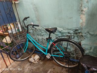 Olx ladies sales bicycle