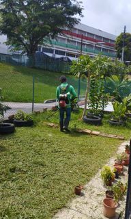 Landscaping / Garden maintenance / Garden designing / Grass Cutting / Tree Trimming