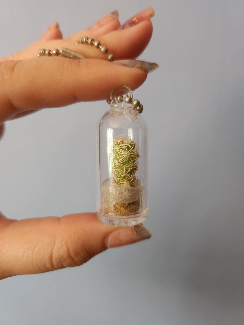 Terrarium keyring clearance