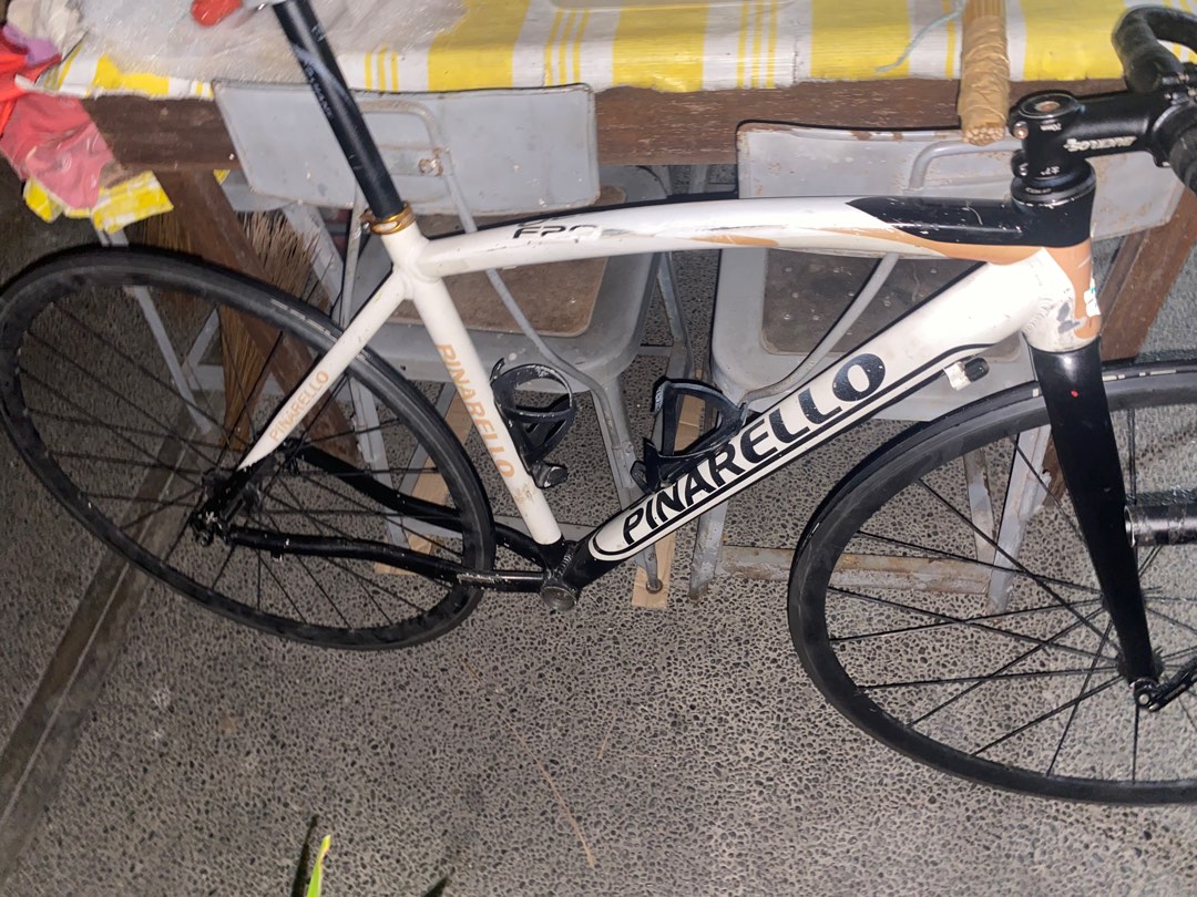 Pinarello fp0 store