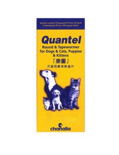 （分類：）位於 。 由 _pet_ 提交（商品編號 1250882836，圖片 1）。簡介： 。