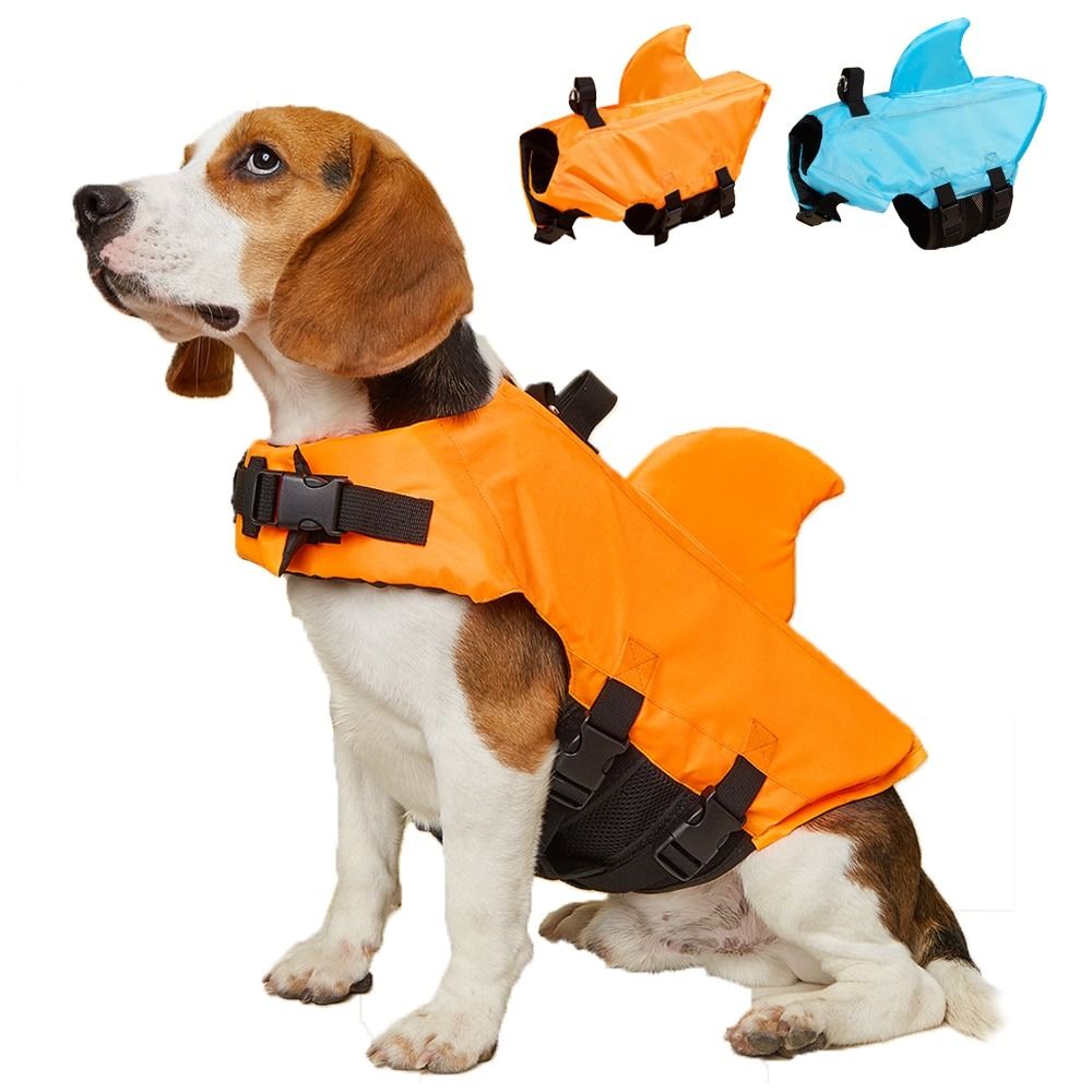Safety vest for outlet small dogs