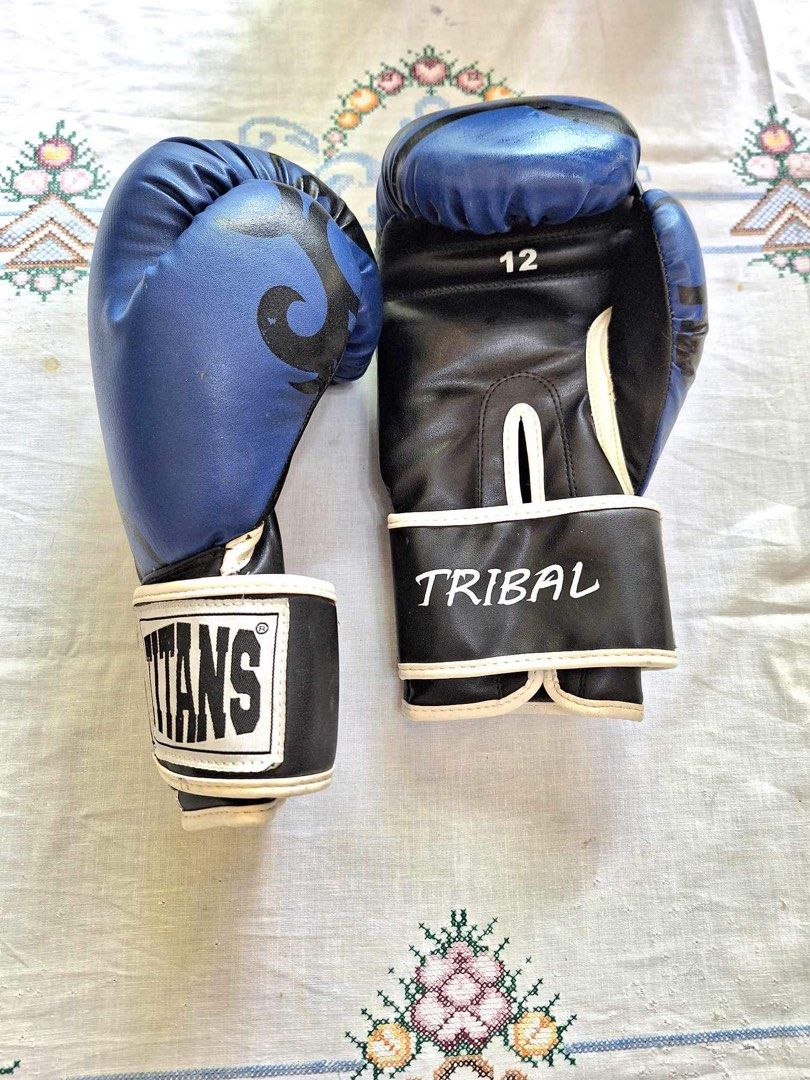titans-12-oz-boxing-gloves-on-carousell