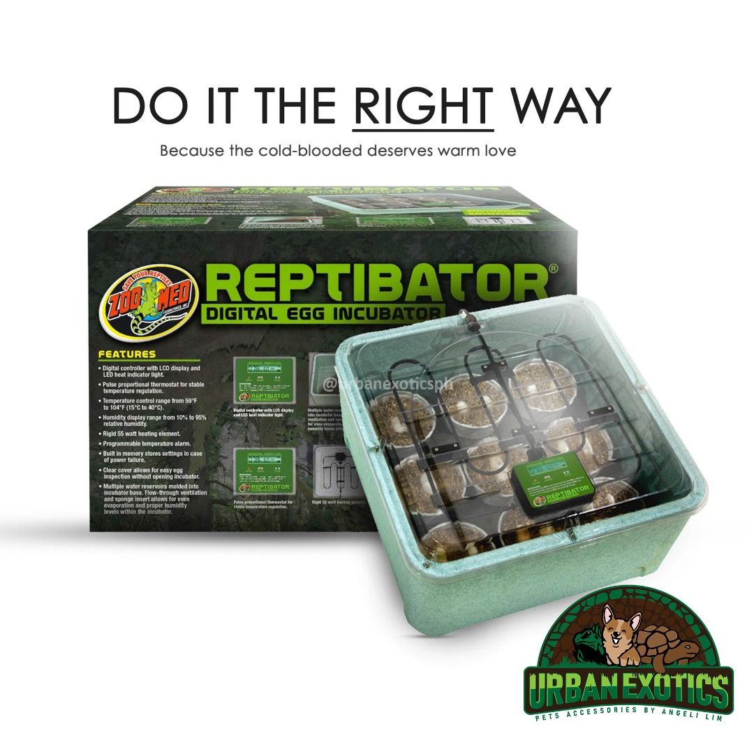 Zoo med reptibator digital reptile best sale egg incubator