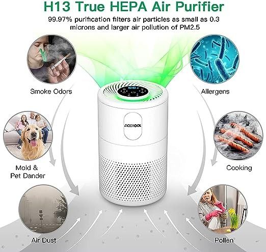Acekool shop air purifier