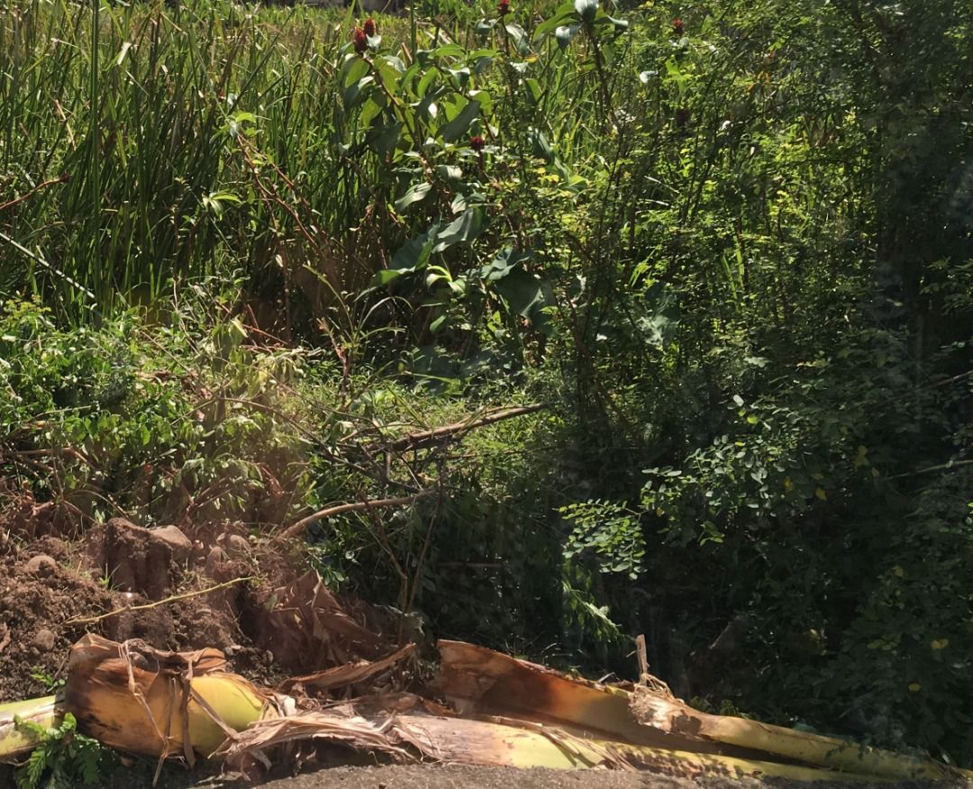 Aklan (Banga) Lot for Sale/ for Rent, Property, For Sale, Lot on Carousell