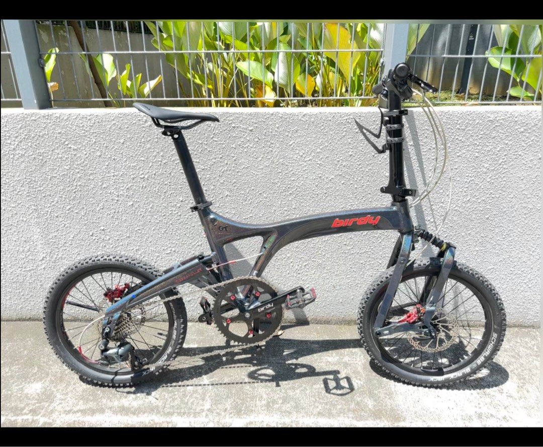 Birdy GT (10 speed Shimano Tiagra), Sports Equipment, Bicycles & Parts