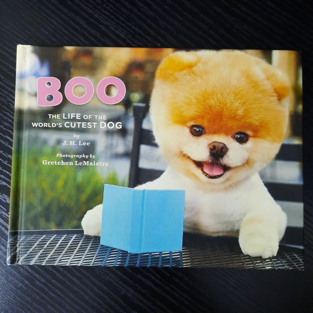 Boo: The Life of the World's Cutest Dog Boo: J.H. Lee: : Books