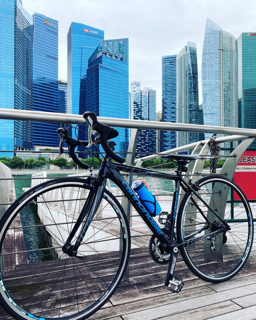 Women's road sale bike size 44