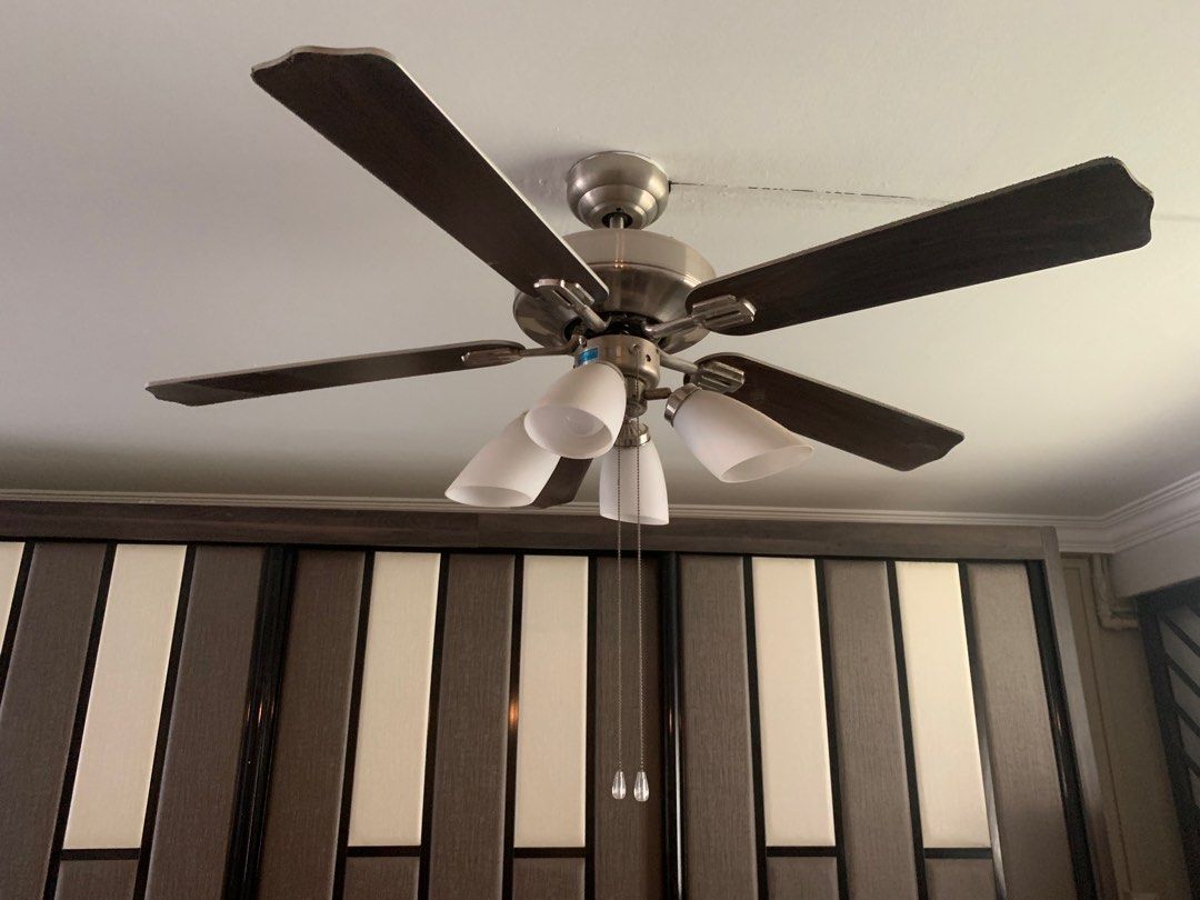 Ceiling Fan Lights Not Coming On Shelly Lighting
