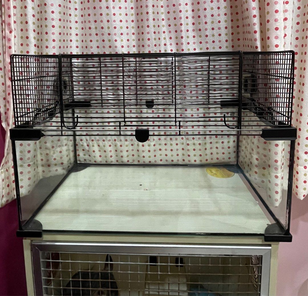hamster cage Pet Supplies Homes Other Pet Accessories on Carousell
