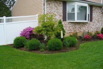 Natural grass64884983906051110