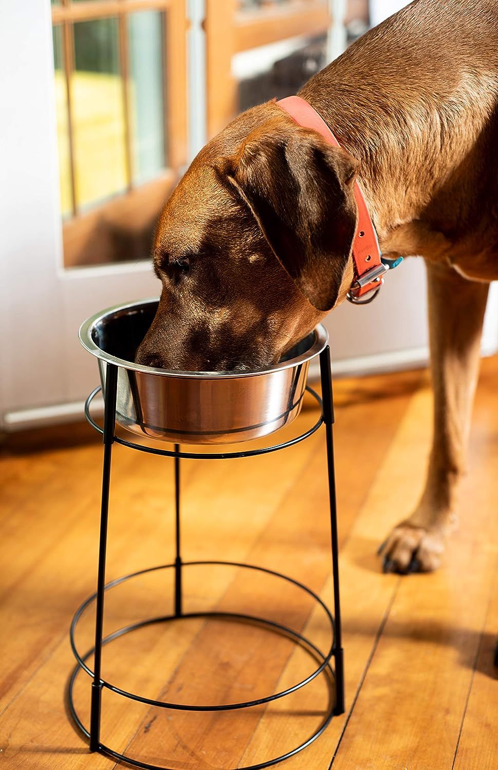Elevated dog feeders for large breeds online