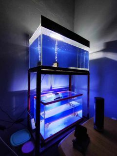 TAKE ALL! AQUARIUM, STAND, ACCESSORIES