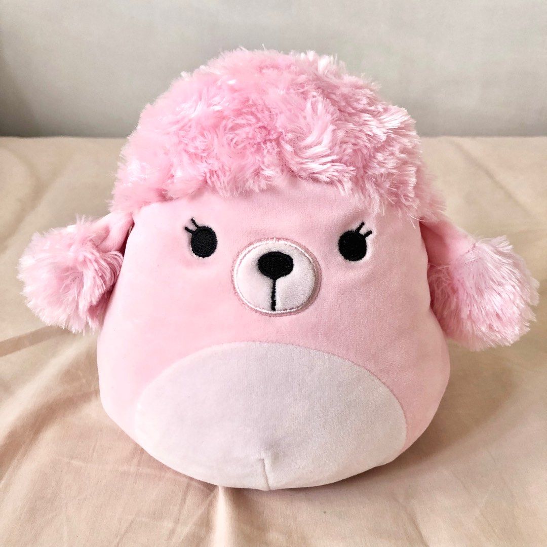 Poodle squishmallow 2025