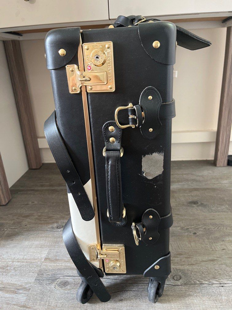 Alice and olivia steamline luggage on sale