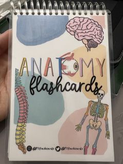 Anatomy Flashcards by PT Flashcards