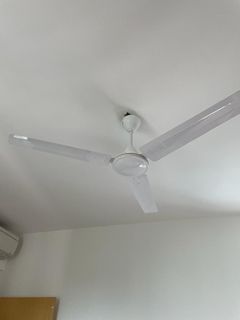 (Category: ) located in . Submitted by sg3485 (Listing ID 1251102659, Image 1). Description: .